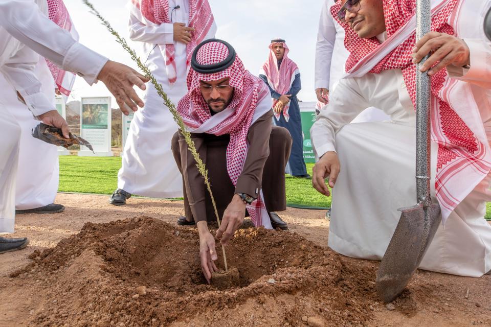 نائب أمير حائل يرعى مبادرة التشجير احتفالاً بيوم السعودية الخضراء