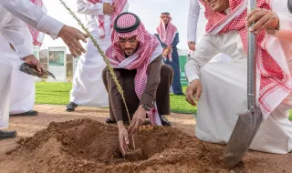 نائب أمير حائل يرعى مبادرة التشجير احتفالاً بيوم السعودية الخضراء